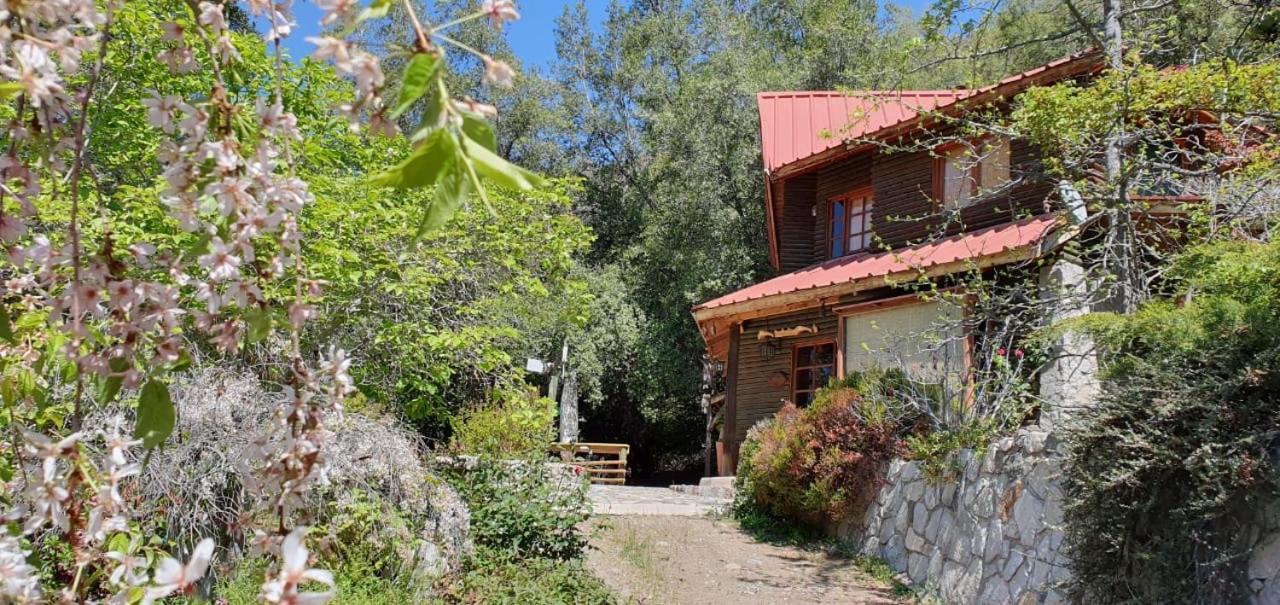 Casa De Montana Inmersa En Bosque Nativo San José de Maipo Extérieur photo